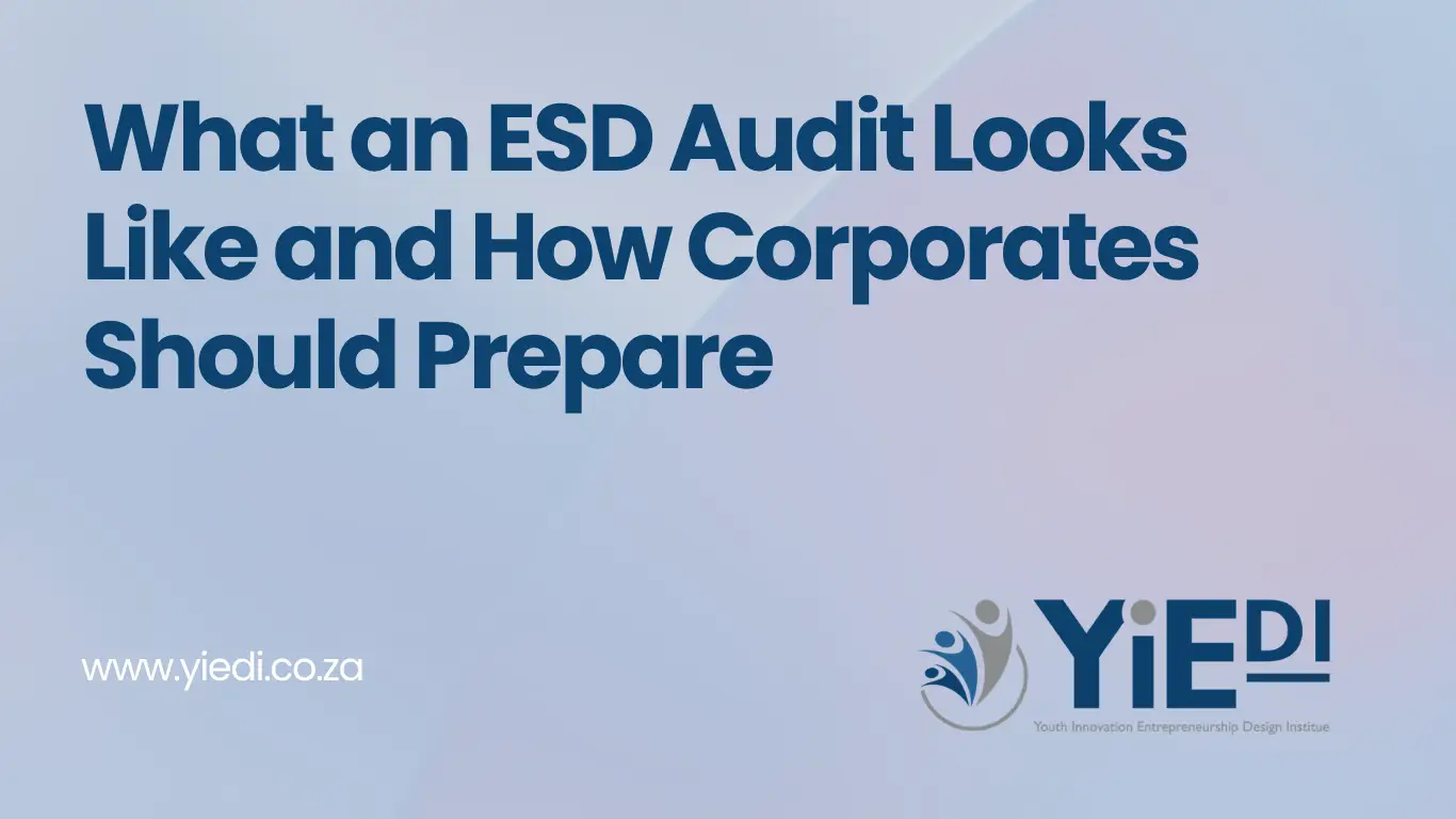What an ESD Audit Looks Like and How Corporates Should Prepare